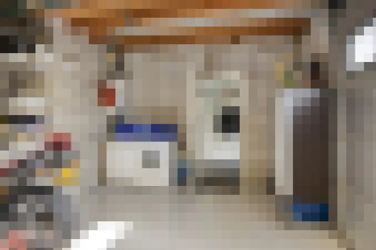 Oijenseweg 126 Oss thumbnail 22