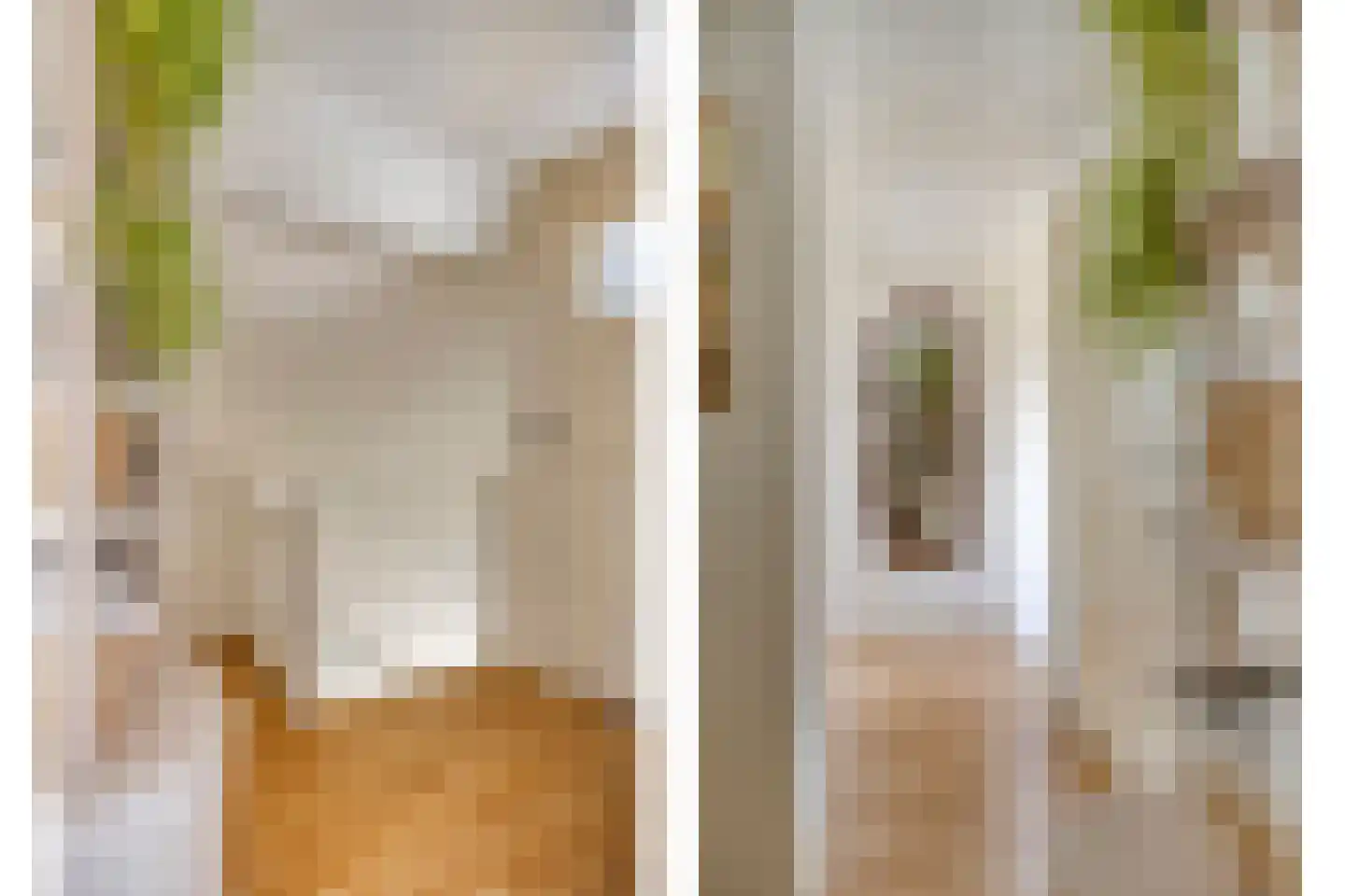 Oijenseweg 126 Oss thumbnail 23