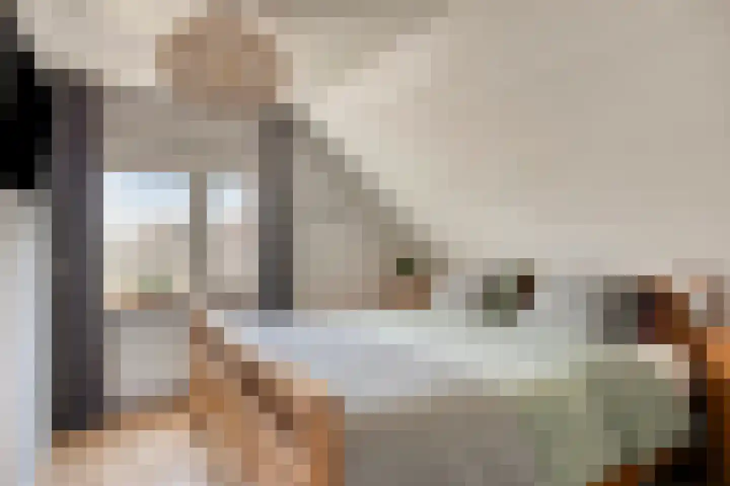 Oijenseweg 126 Oss thumbnail 30