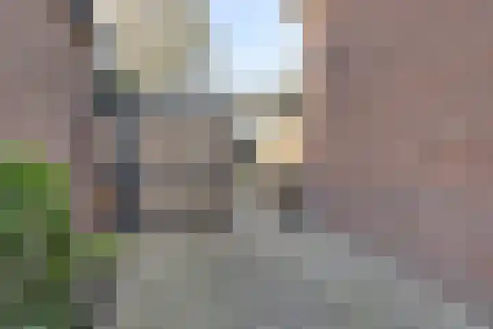 Oijenseweg 126 Oss thumbnail 33