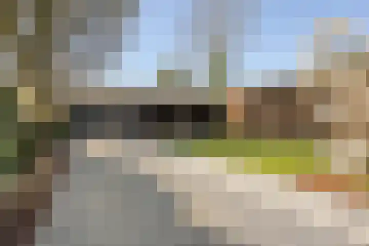 Oijenseweg 126 Oss thumbnail 37