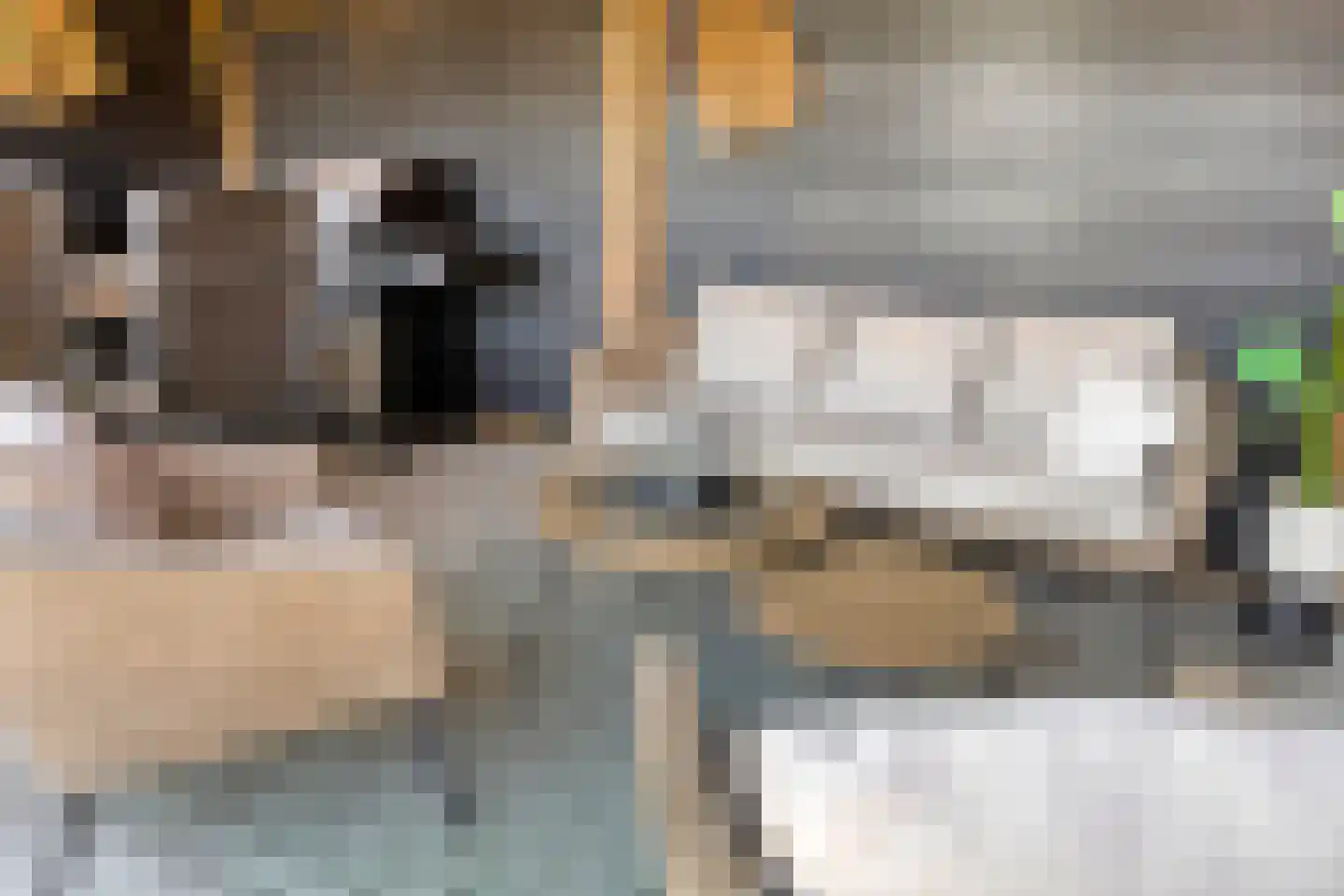 Oijenseweg 126 Oss thumbnail 40