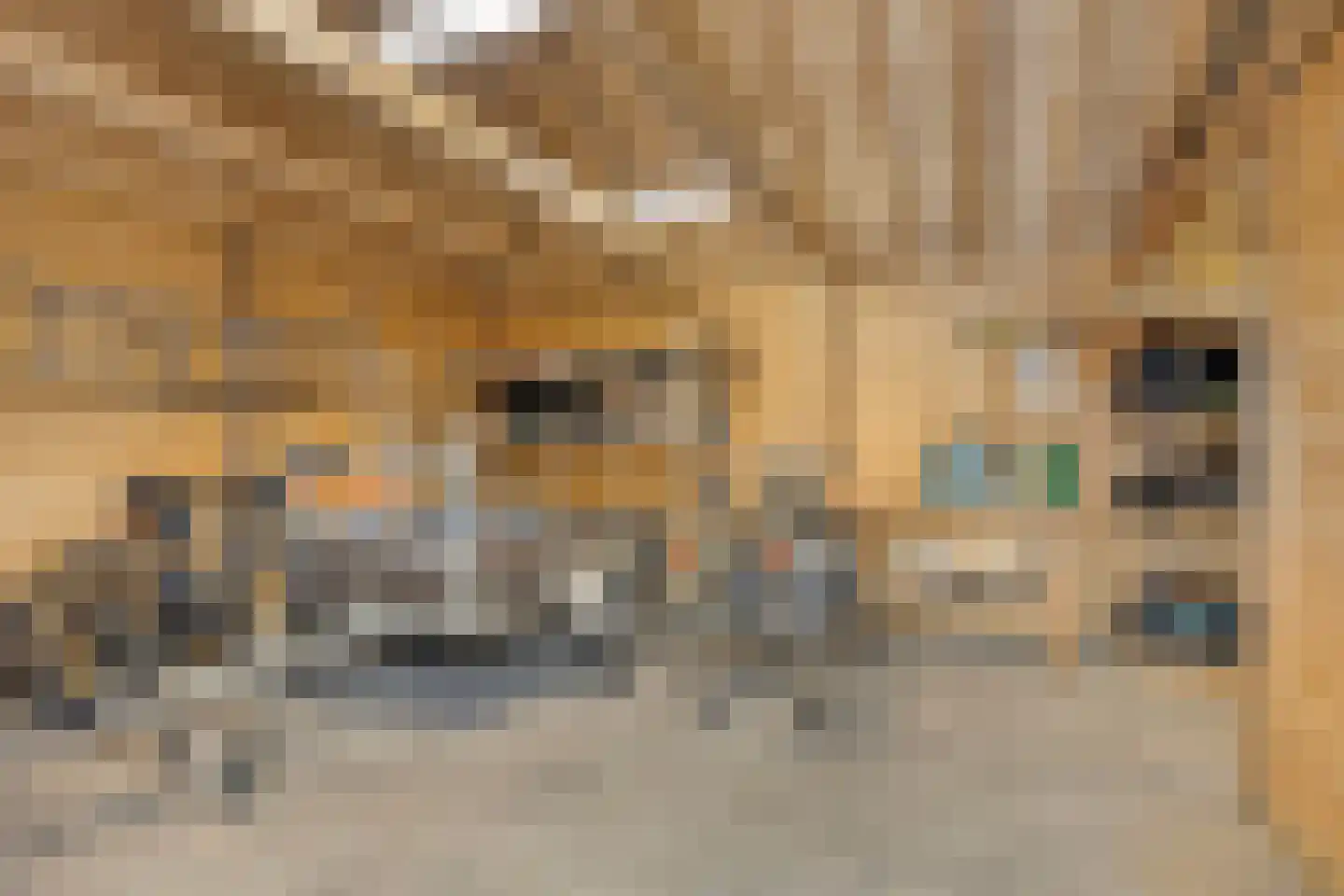 Oijenseweg 126 Oss thumbnail 43