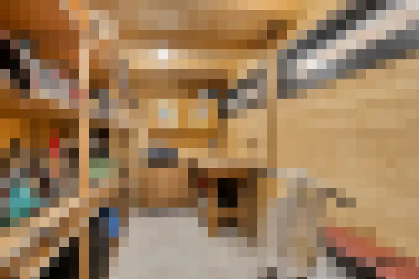 Oijenseweg 126 Oss thumbnail 44