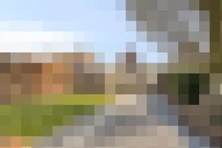 Oijenseweg 126 Oss thumbnail 45