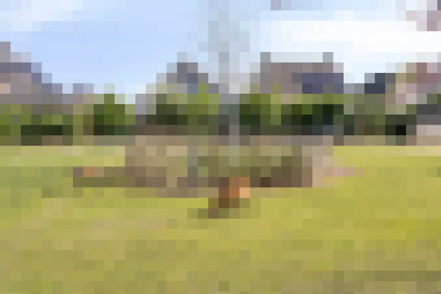 Oijenseweg 126 Oss thumbnail 49