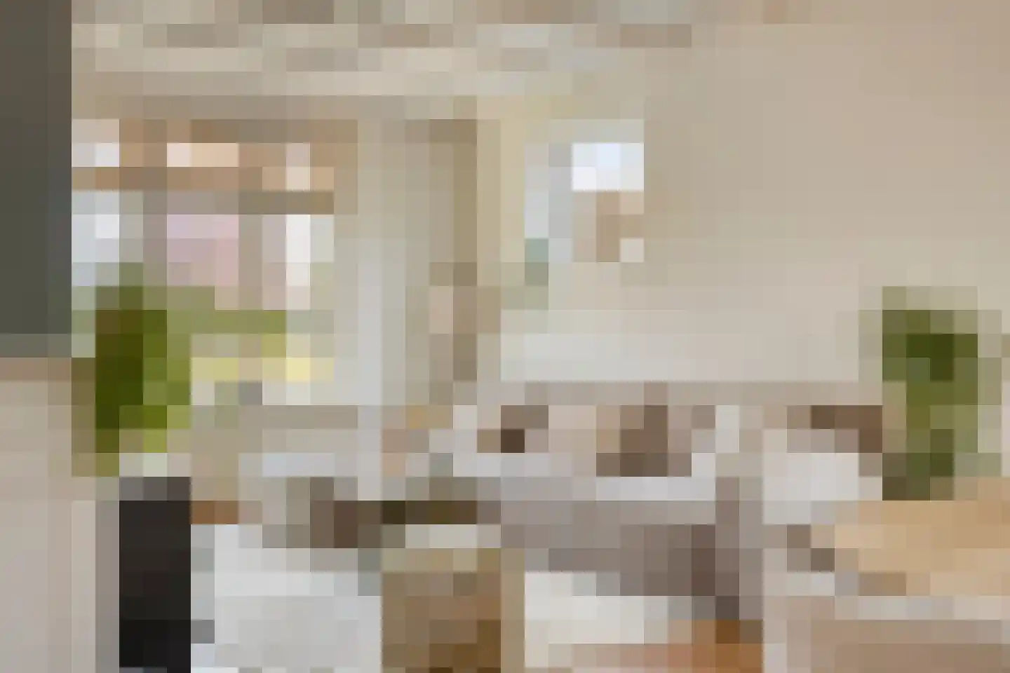 Oijenseweg 126 Oss thumbnail 8