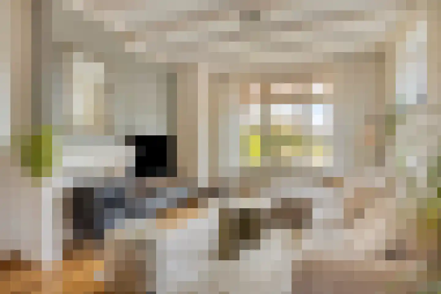 Oijenseweg 126 Oss thumbnail 9