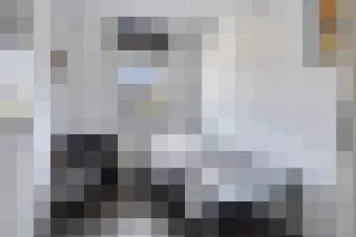 Oijenseweg 171 Oss thumbnail 27