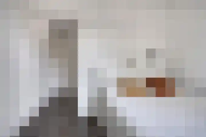 Oijenseweg 171 Oss thumbnail 32