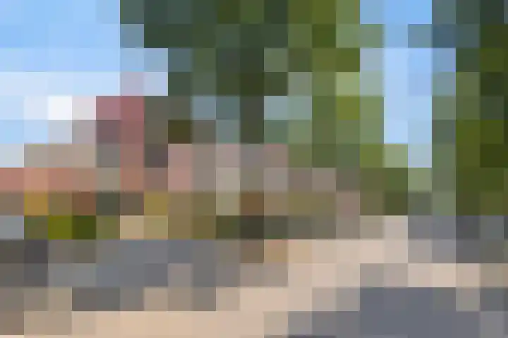 Oijenseweg 171 Oss thumbnail 39