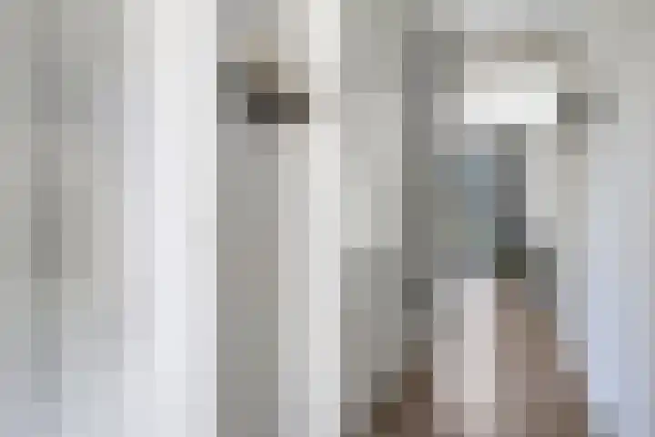 Oijenseweg 171 Oss thumbnail 8