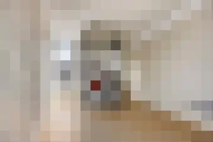 Oijenseweg 177 Oss thumbnail 21