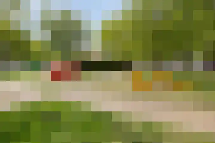 Oijenseweg 177 Oss thumbnail 32