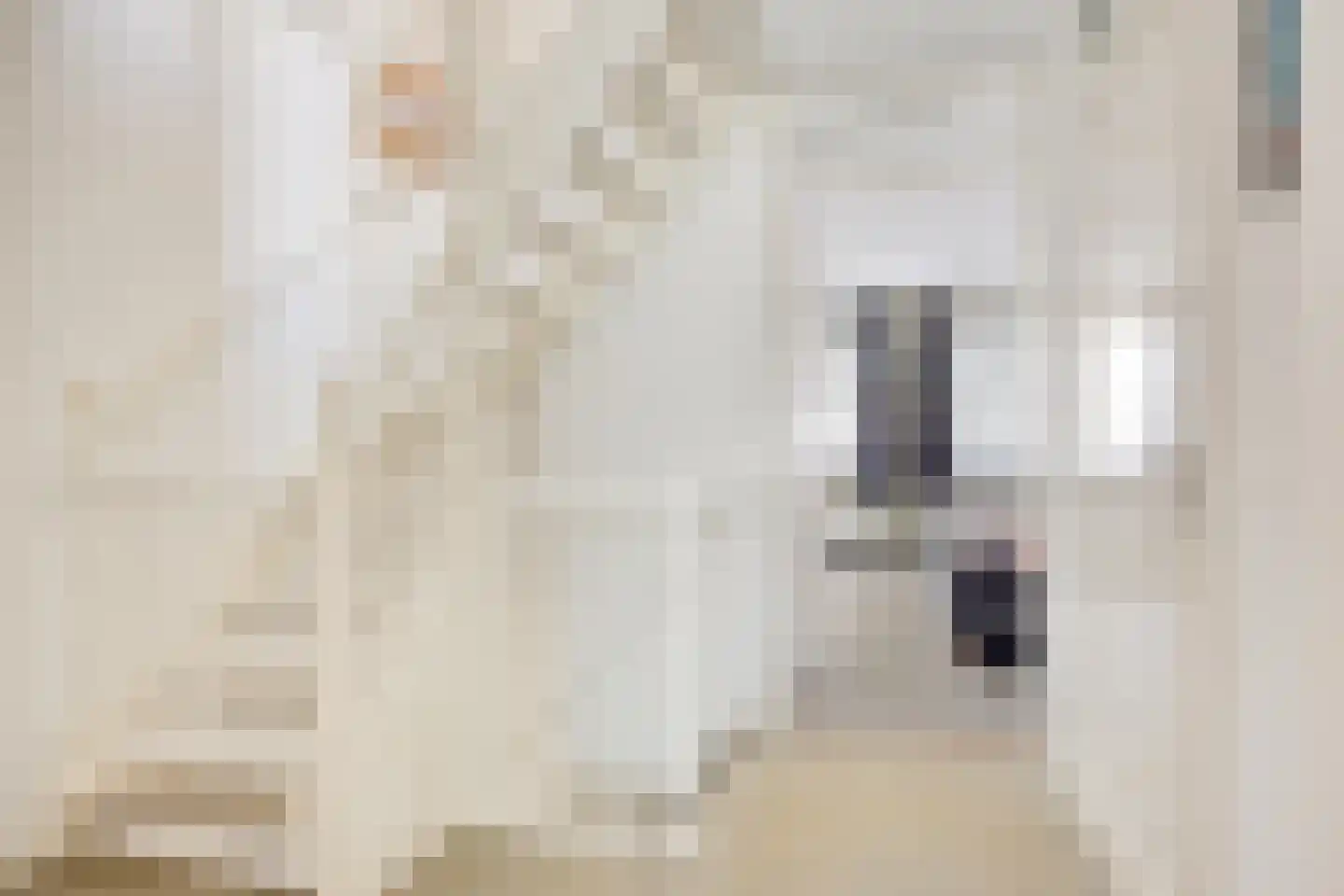 Oijenseweg 20 Oss thumbnail 21