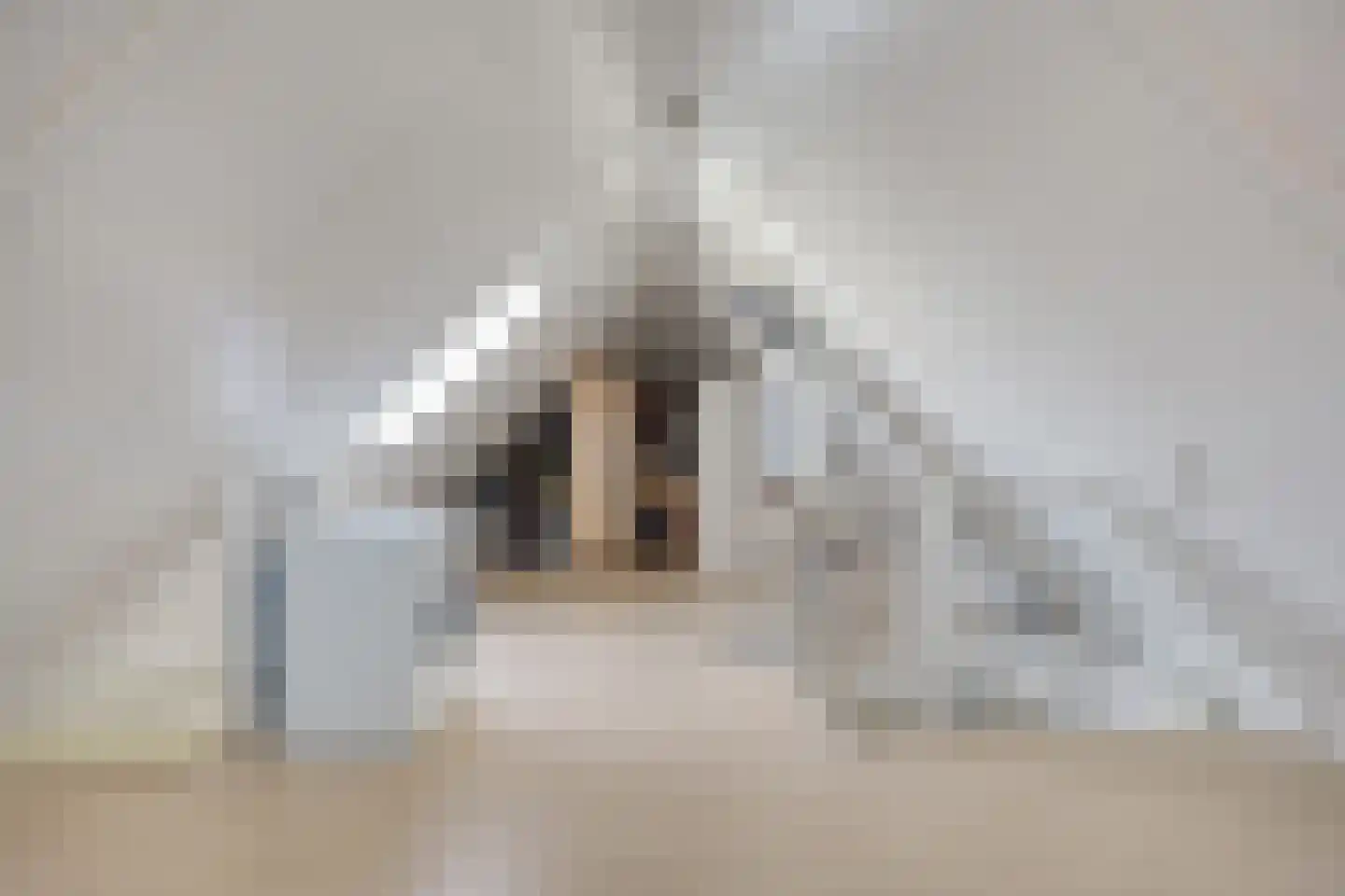 Oijenseweg 20 Oss thumbnail 22