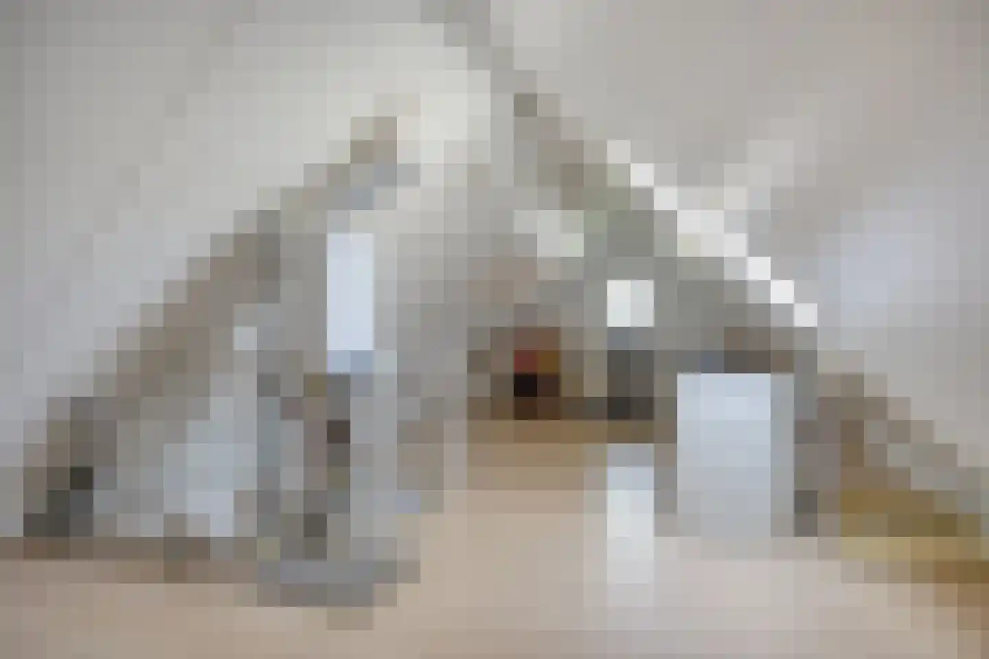 Oijenseweg 20 Oss thumbnail 23
