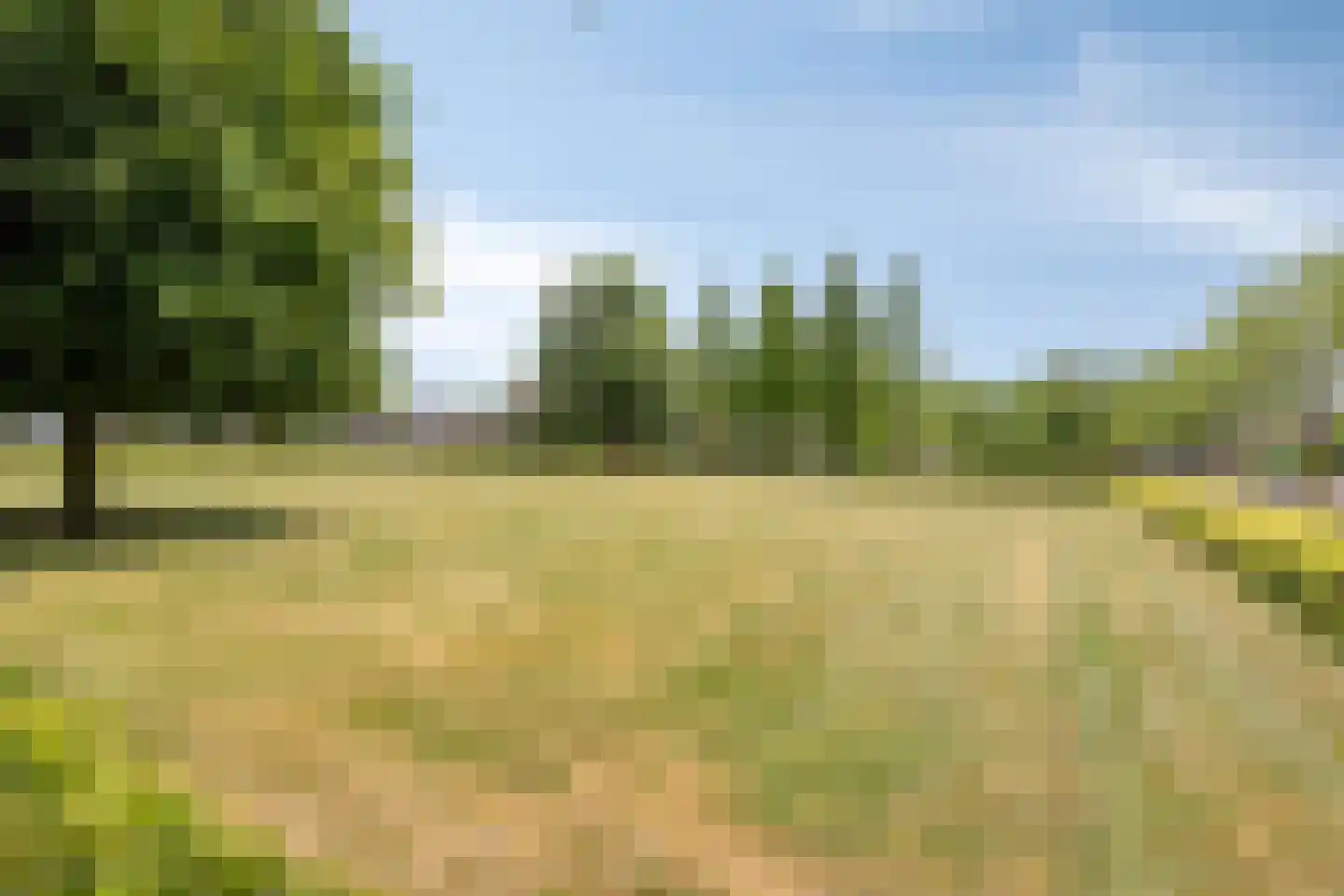 Oijenseweg 20 Oss thumbnail 36