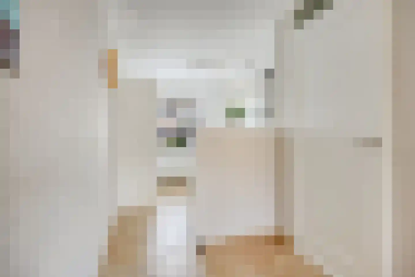 Oijenseweg 20 Oss thumbnail 8
