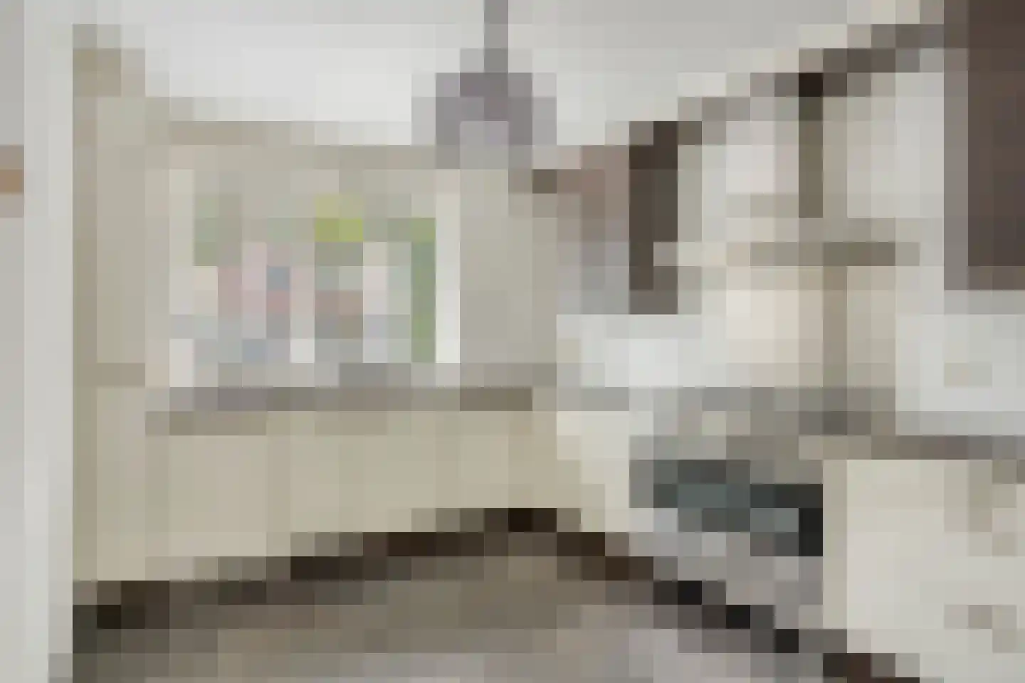 Oijenseweg 207 Oss thumbnail 12
