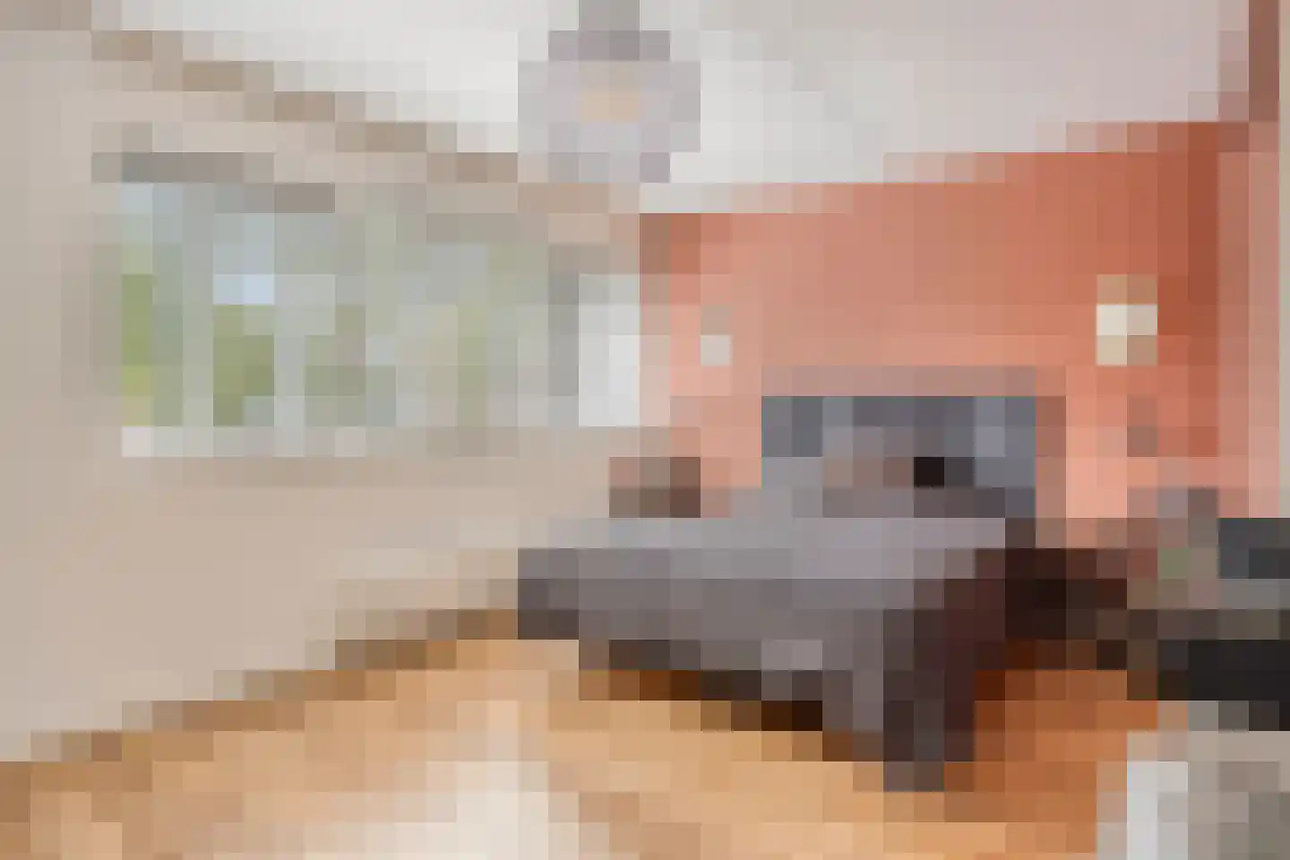 Oijenseweg 207 Oss thumbnail 17