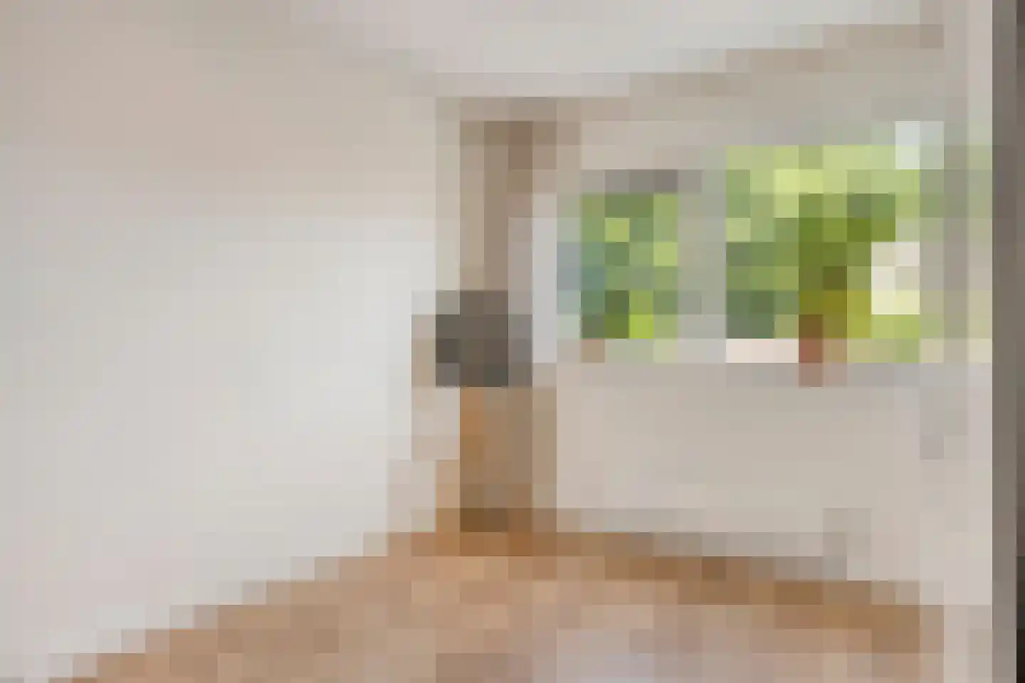 Oijenseweg 207 Oss thumbnail 21