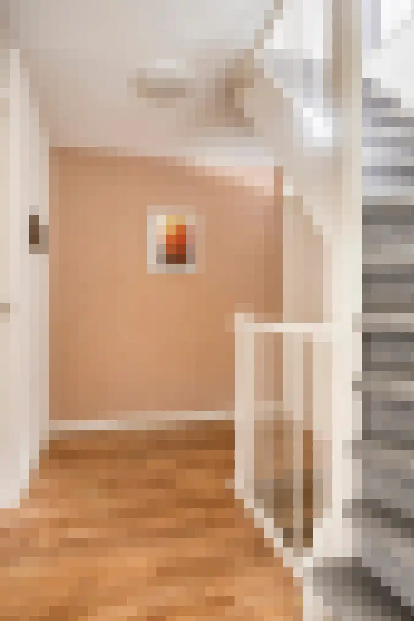 Oijenseweg 207 Oss thumbnail 25
