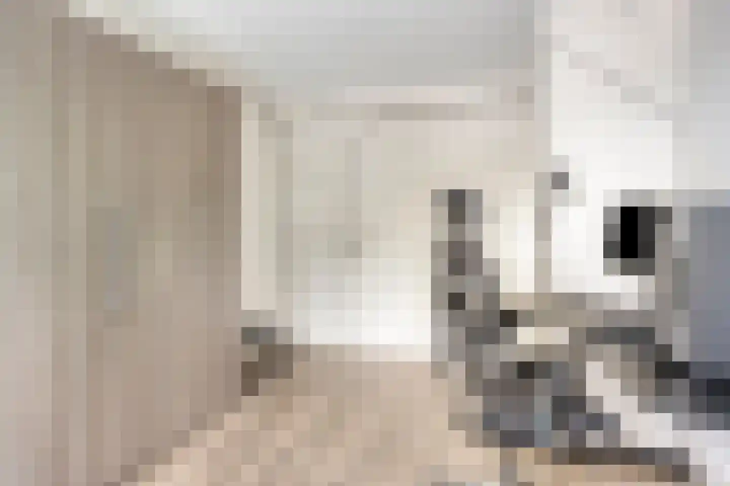 Oijenseweg 207 Oss thumbnail 29