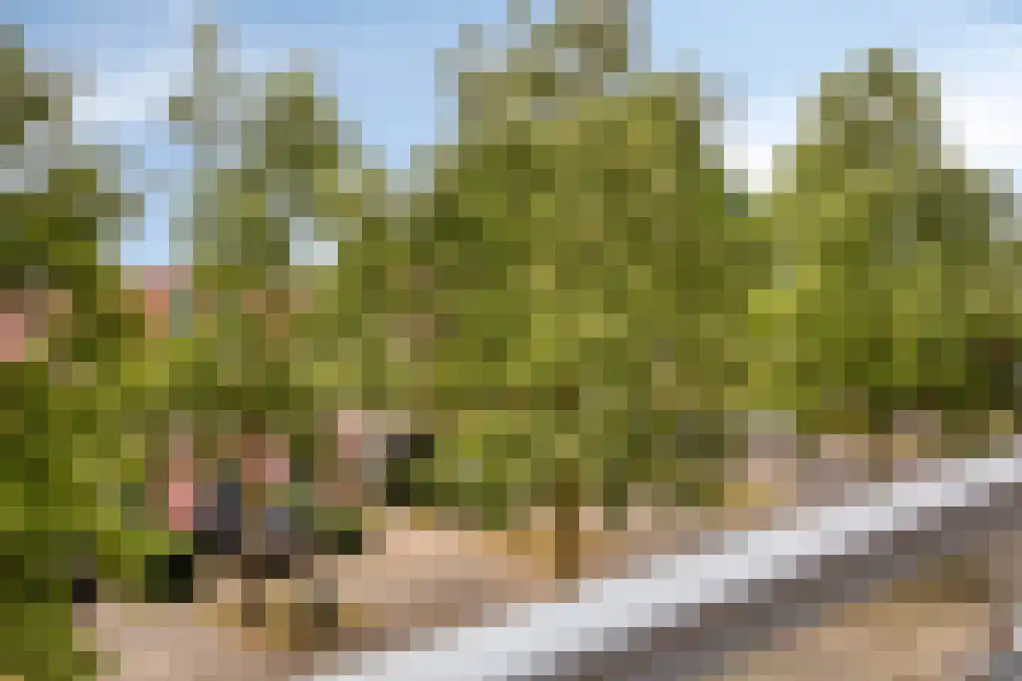 Oijenseweg 207 Oss thumbnail 32