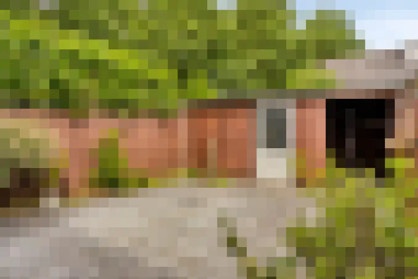 Oijenseweg 207 Oss thumbnail 37