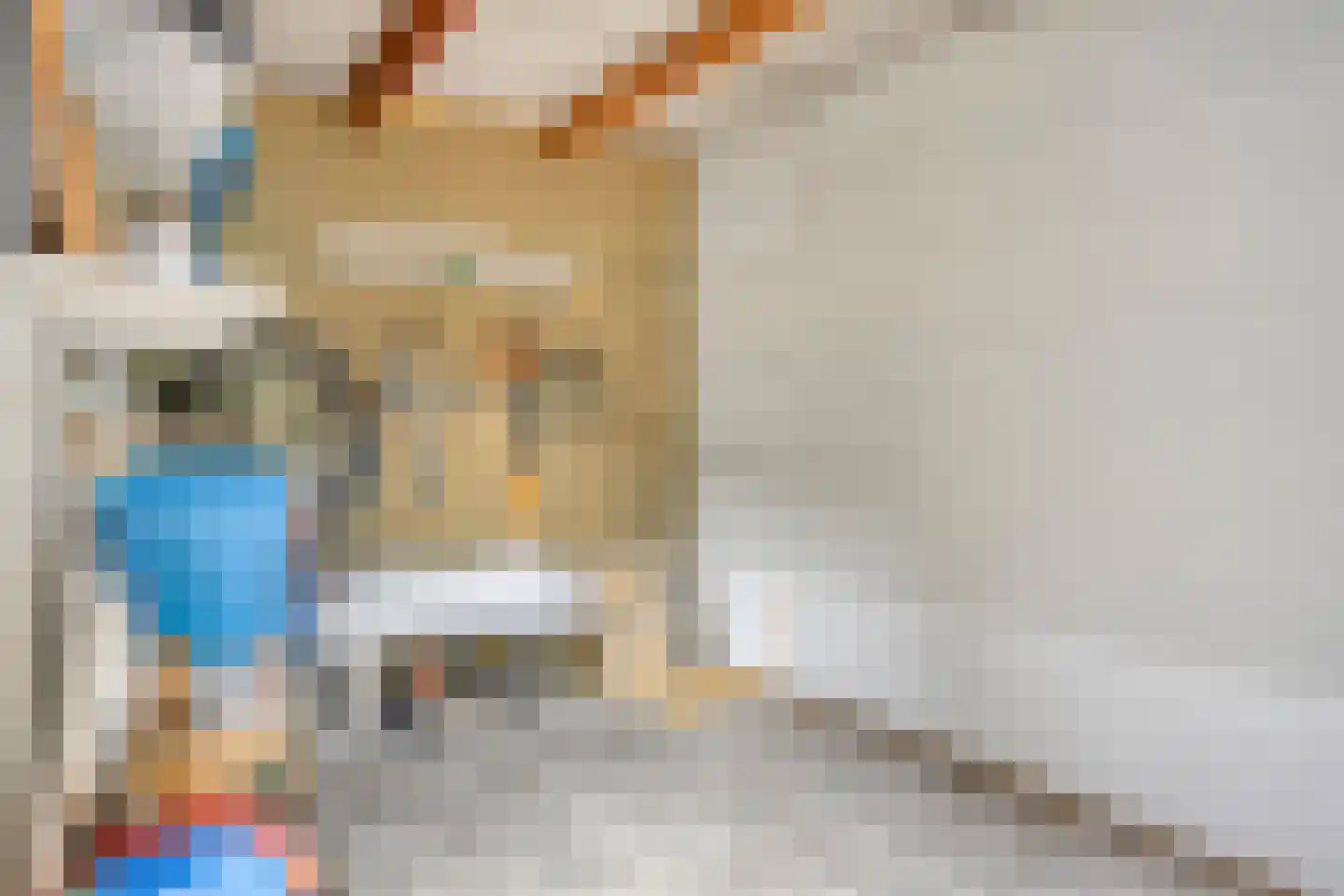 Oijenseweg 207 Oss thumbnail 39