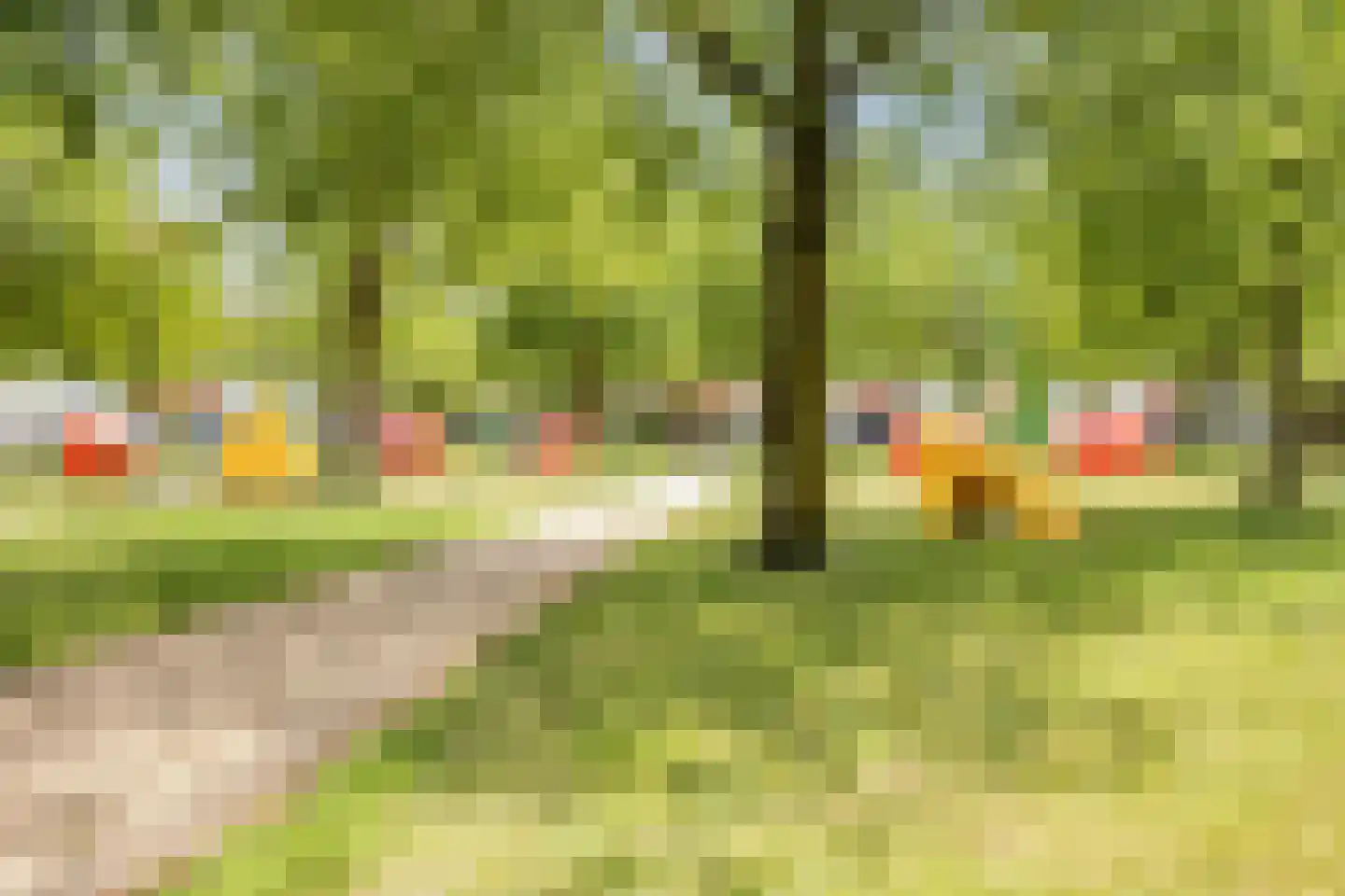 Oijenseweg 207 Oss thumbnail 41