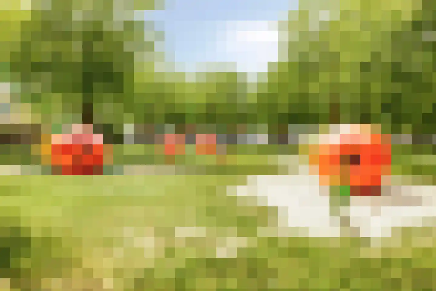 Oijenseweg 207 Oss thumbnail 42