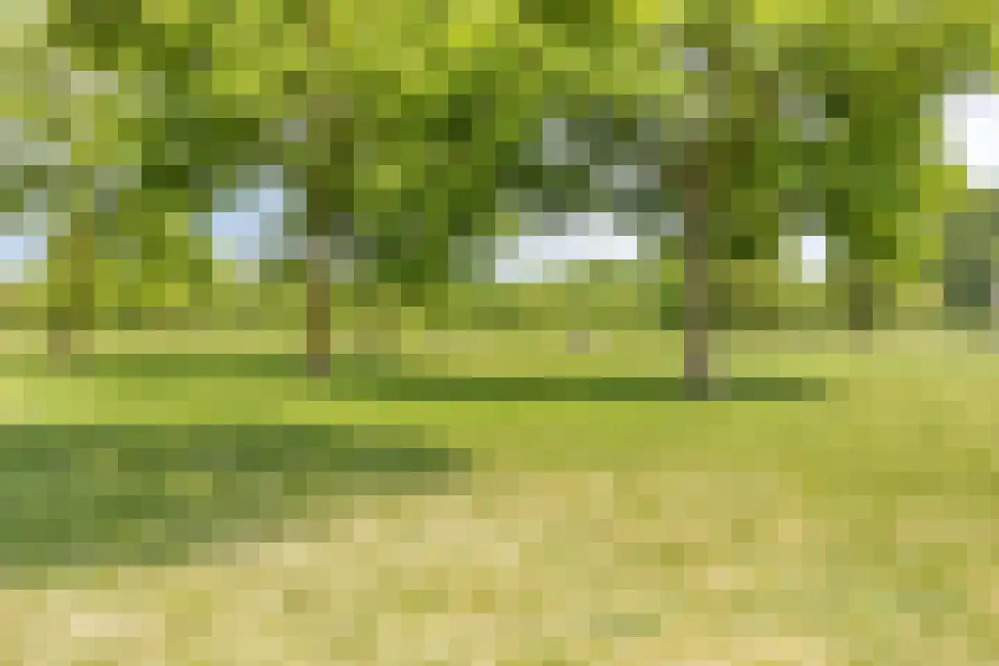 Oijenseweg 207 Oss thumbnail 43