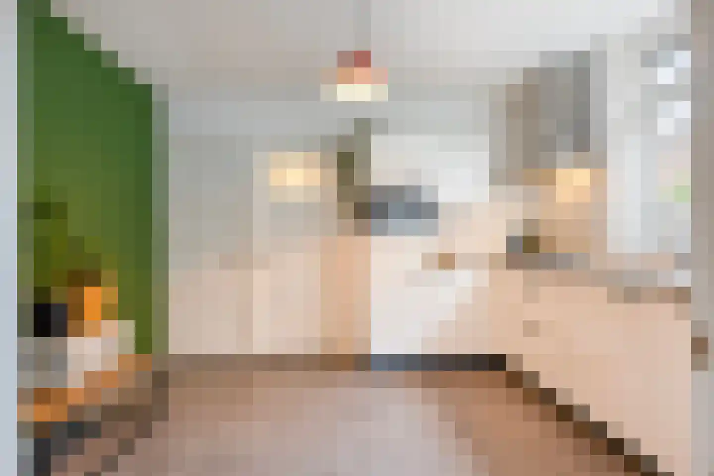 Oijenseweg 33 Oss thumbnail 13