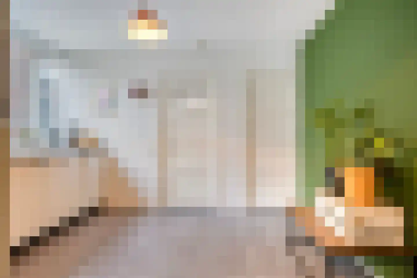 Oijenseweg 33 Oss thumbnail 15