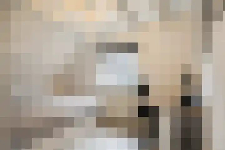 Oijenseweg 33 Oss thumbnail 22