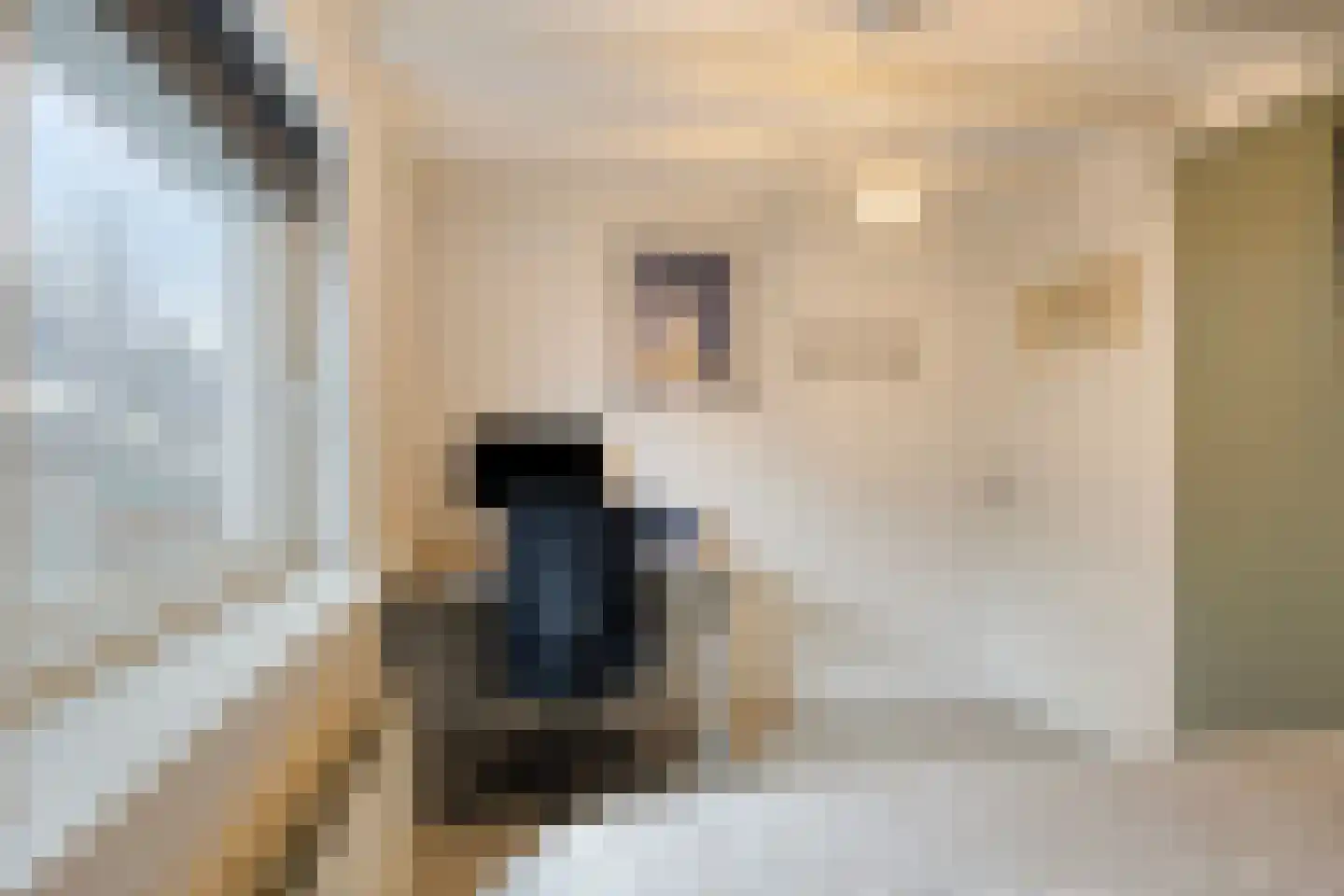 Oijenseweg 33 Oss thumbnail 23