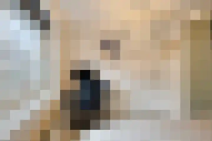 Oijenseweg 33 Oss thumbnail 23