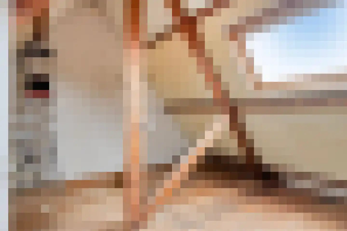 Oijenseweg 33 Oss thumbnail 26