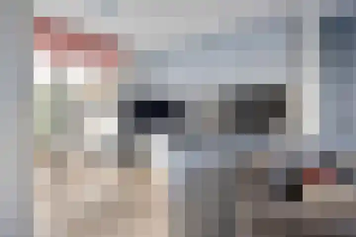 Oijensingel 15 Tilburg thumbnail 17