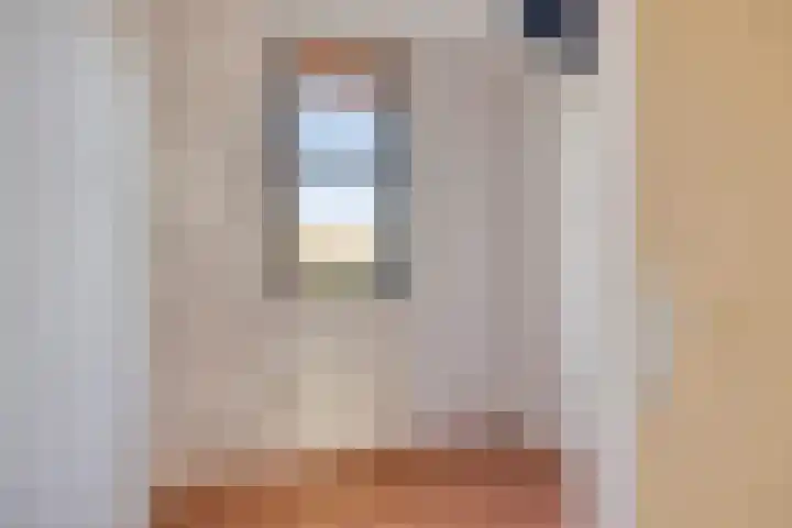 Oijensingel 15 Tilburg thumbnail 39