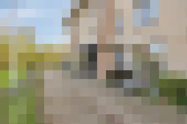 Oijensingel 15 Tilburg thumbnail 57