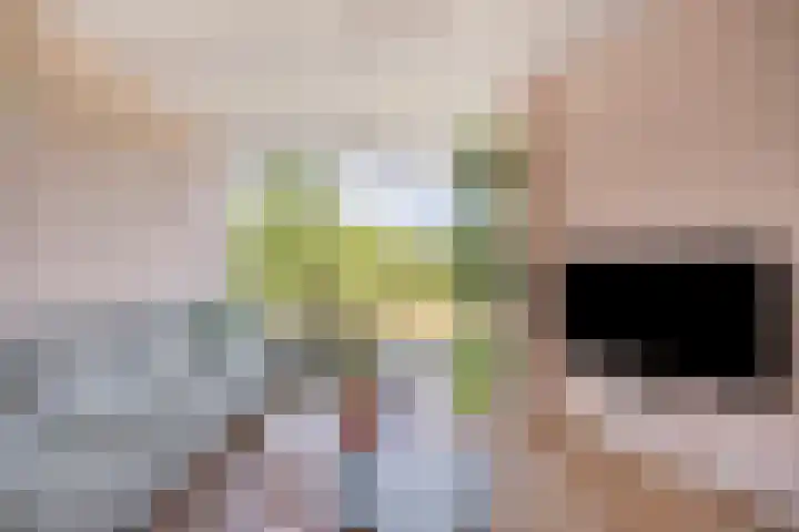 Oijensingel 23 Tilburg thumbnail 10