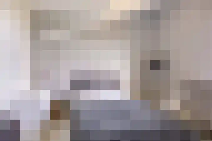 Oijensingel 23 Tilburg thumbnail 36