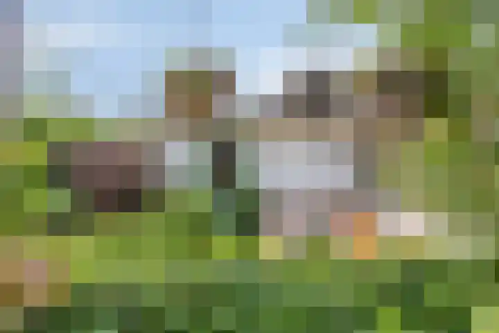 Oijensingel 23 Tilburg thumbnail 41