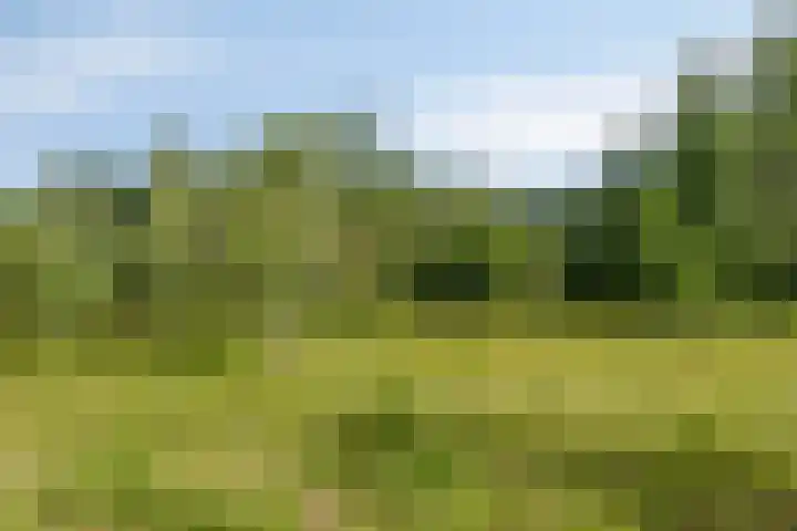 Oijensingel 23 Tilburg thumbnail 49