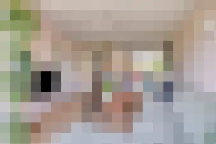 Oijensingel 23 Tilburg thumbnail 7