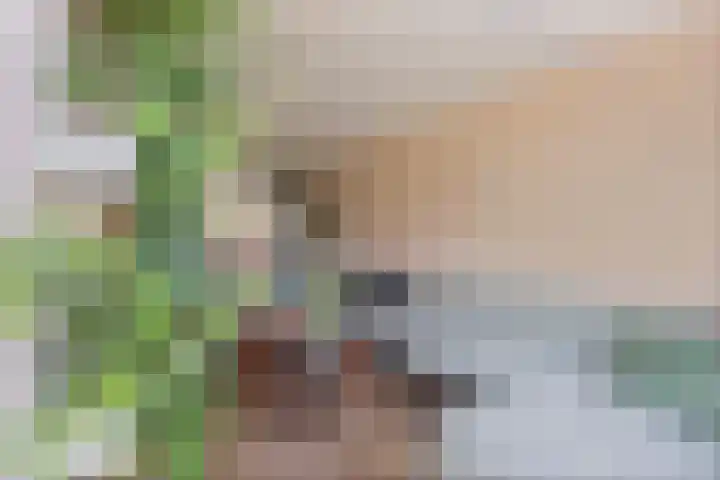 Oijensingel 23 Tilburg thumbnail 9