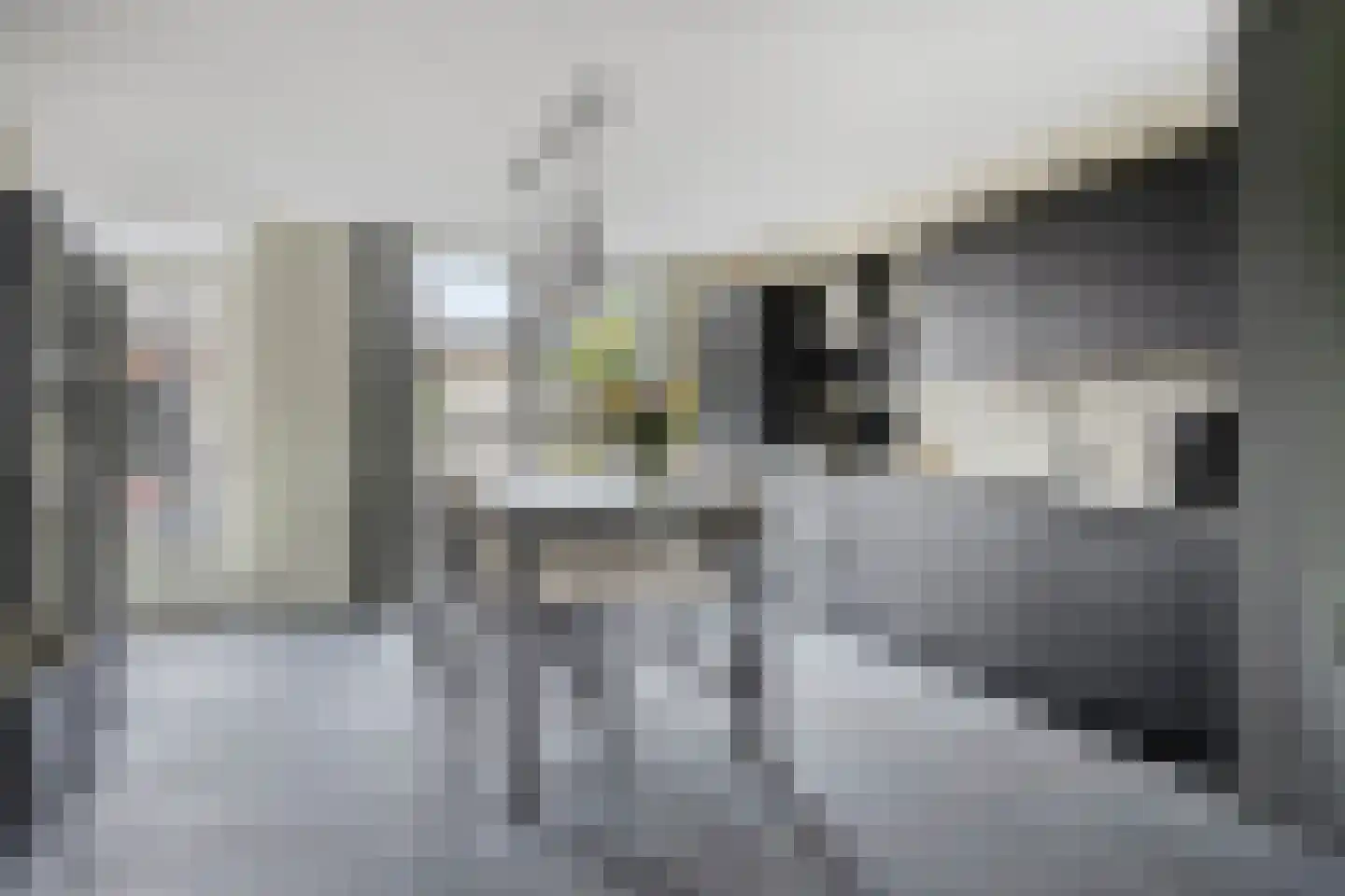 Oijensingel 27 Tilburg thumbnail 16